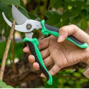 Pruner Garden Scissors Professional Branch Trimming Vegetable Fruit Tree Sharp Pruning Shears Household Gardening Shear Scissor