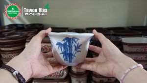 Pot Bonsai Keramik Bunga Unik