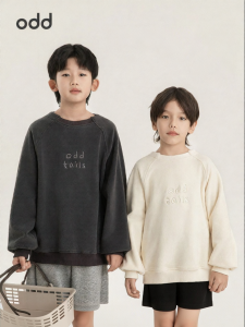 Fleece Letter Embroidered Boys Sweatshirt
