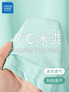 Jeanswest Kids Summer Ice Silk Quick Dry Short Sleeve T-Shirt Boys Breathable Mesh Cartoon Print Sporty Fit Nylon Fiber T-Shirt