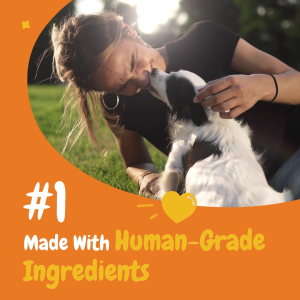 Zesty Paws All Ages Dog Supplements & Vitamins 90 Soft Chews