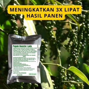 Pupuk Booster Lada / Obat Booster Lada / Pupuk Booster Lada / Pupuk Lada