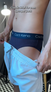 4pcs Cacti Keno Mens Brief Cotton Underwear Plus Size briefs for men adult makapal Original branded underwear for menMen Boxer Shorts 3XL 4XL 5XL