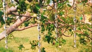 Bird Repellent Reflective Scare Rods Ornamental Spinner Deterrent Control Device Keeps Birds Away