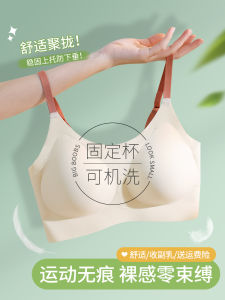 Seamless Sports Bra for Women with Backless Design and Fixed Cup No Steel Ring Underwear for Young Adults