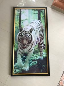 Hiasan Dinding Cetak Lukisan Gambar Macan Putih di hutan plus Bingkai uk:50cm x 100 cm