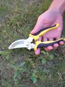 【COD】1 Piece Of Multi-Purpose Stainless Steel Plant Scissors With Anti Slip Handle For Efficient Pruning In Gardening And Lawn Care Pruning Scissors For Tree Branches And Fruit Branches Garden Tools