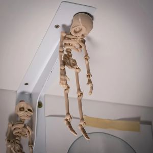 1 Máy Tính Từ Tính Poseable Đầu Lâu Nam Châm Gắn Tủ Lạnh Trang Trí Halloween Ngộ Nghĩnh Nhà Bếp & Ăn Phụ Kiện Quirky Trang Trí Nhà