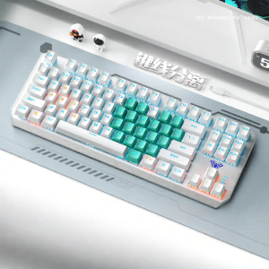 ESPORTS LIVNG MUSEUM | Wireless Gaming Mechanical Keyboard 87 Keys