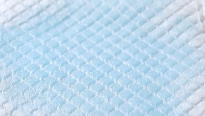 Fortress 50pcs MEDIUM 45cmX60cm Dog Cat Training Pad Pet Pee Pad Potty Pads Dog Pee Wee Pee Poop Training Pad Super Absorbent