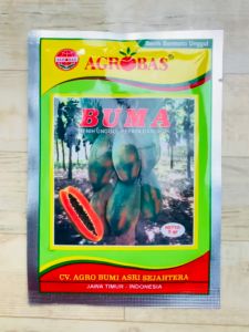 Benih Unggul Pepaya Bangkok BUMA 5gr Agrobas