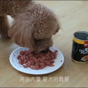 Furiri 375g Juicy Dog Canned Food Chicken Beef Flavor Daily Wet Food Dogs Meal Premium Mashed Fresh Meat Food 狗狗罐头食物