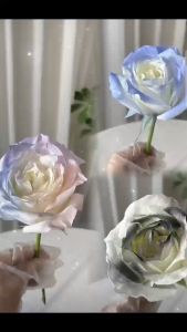 สีสเปรย์พ่นดอกไม้ การย้อมสี 450 ml.(Flower Spray)สีสเปรย์ดอกไม้ สีสเปรย์ดอกไม้ ย้อมสีดอกไม้ น้ำแข็งบด กุหลาบสีฟ้า สีสเปร