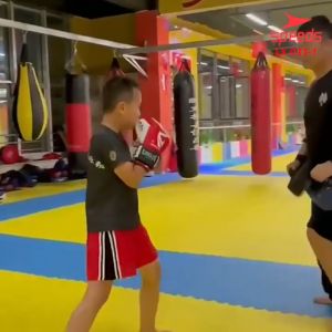 SPEEDS Foot Target Pad Boxing Muaythai Taekwondo Karate Aksesoris Olahraga Bela Diri Samsak 033-1