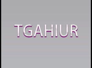 Sarung Tongkat Pendaki Climbing Stick Tas Case Trekking Pole Storage Bag