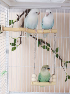 Weid Parrot Cage Stand Toy Bird Station Pole Pet Quail Feeder Accessory Playtime Platform Chewable Weid Brand Pet Supplies