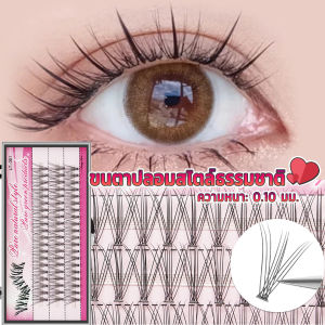 8/10/11/12/14 False Eyelashes - TOP ขนตาปลอมแบบธรรมชาติ 100 มม