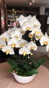 ดอกกล้วยไม้จัดพร้อมกระถางเซรามิค กระถางกล้วยไม้ประดิษฐ์ ดอกไม้ปลอมตกแต่งบ้าน