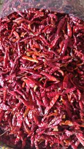 ( 1kg ) CABE TEJA KERING TANPA TANGKAI