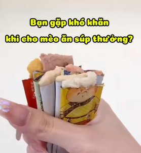 Súp Thưởng Cho Mèo Silver Spoon Dạng Thìa 10g