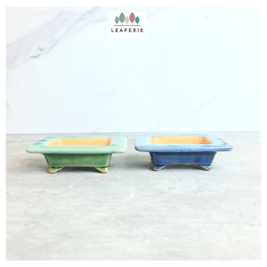 The Leaferie Petit Bonsai Pot (Series 98) Rectangular Ceramic Plant pot Flowerpot Planter small pots