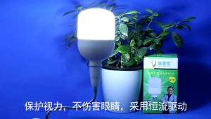 LED Light E27 Bulb Energy Saving Lights 5W 7W 12W High Transmittance Lighting 220V Led Bulbs Clear Led Lamp