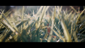 Ống kính 7Artisans 35mm T1.05 - Cine Lens cho Crop APS-C dành cho Fujfilm Sony Leica L M4/3 và Canon EOS R Ống Kính Prime Tay, Khẩu Độ Lớn T1.05 Ống Kính Cho Quay Phim Chuyên Nghiệp - Lazada