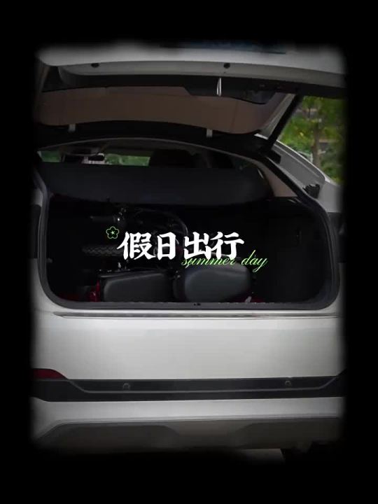 Electric Car Factory Direct Sales Folding Electric Bicycle Portable