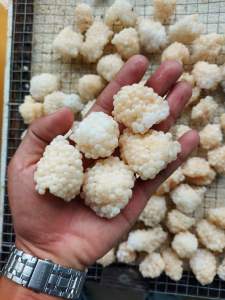 300g trứng ốc bươu đen ( bù 10% dập do vận chuyển)