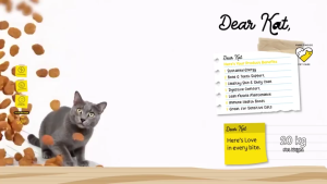1kg Dear Kat All Stages Adult Kitten Cat Cats Dry Food All Breed Meal Pet Digestive Comfort