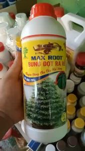 Max root Siêu kích rễ Bung đọt mai vàng chai 1 lít