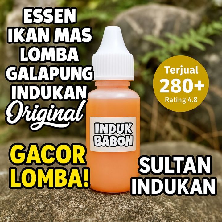 ESSEN%20GACOR%20IKAN%20MAS%20OPLOSAN%20-%20Indukan%20Rame,%20Andalan%20Lomba%20Galapung%20-%20Image%208