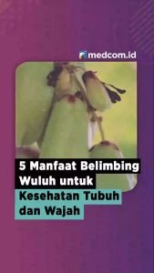 Blimbing Sayur Pot: Cara Menanam & Cepat Berbuah