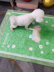 Cocoyo Dog Cat Puppy Pee Pad Wee wee pad Leak-proof 8-Layer Pee Pads with Quick-dry Surface for Potty Training mat Thick Versions WEE WEE PAD 80/40/20/10 pcs 草地印花尿垫