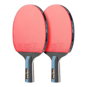 Double Fish | Beginner High Bounce Kirin Wood Table Tennis Racket