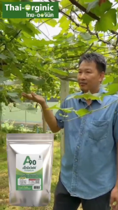 A90 เอกโตไฟต์ ectophyte จุลินทรีย์จัดการโรคพืช เชื้อรา แบคทีเรีย (สูตร อจ.วิโรจน์) ตราดินดาว ปฐมอโศก