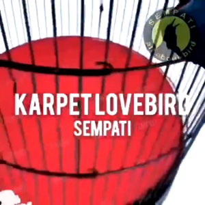 SEMPATI GROSIR Karpet Lovebird Sempati Isi 10 Karpet Tebok Alas Dasar Lantai Sangkar Kandang Burung Love Bird Bulat