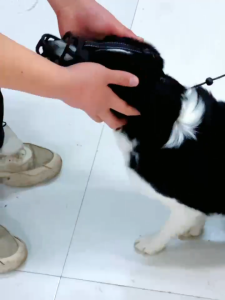 🌈Pet Culture 😻 ที่ครอบปากสุนัข อุปกรณ์ครอบปากสุนัข กันกัด พลาสติก ตะกร้อครอบปากสุนัข น้องหมาดื่มน้ำได้ Black