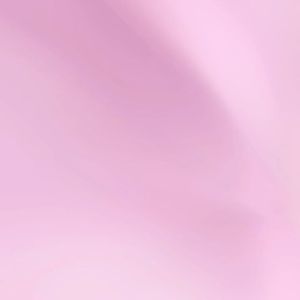 HJ - Celana Pendek Laura Labubu Series // Celana Pendek Wanita Terbaru