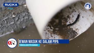 Pembuangan Air Kamar Mandi dengan Automatic Valve Backflow 3 4 Inc: Cegah Hewan Masuk, Anti Bau Banjir Karat