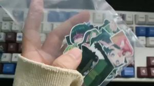 Dược sư tự sự - Set 10/15 Sticker Mao Mao/ Miêu Miêu/MaoMao anime/manga Kusuriya no Hitorigoto/dược sư tự sự hình dán trang trí điện thoạilap top siêu đẹp chống nước chống xước - Lazada