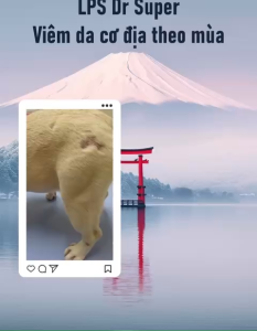 Sản phẩm TRICHO S giúp cân bằng dinh dưỡnglông mượt-da khỏe & mọc lông thần tốc cho chó mèo [ Hộp 120v ]