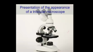 Binocular microscope to see bacteria Students biochemistry laboratory to see bacteria high resolution high power optical microsc