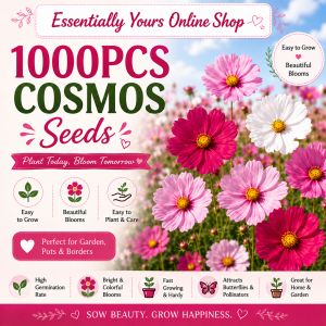1000pcs Cosmos Seeds Mixed Colors | Fast Bloom 6-8 Weeks | Easy Grow Flower Seeds