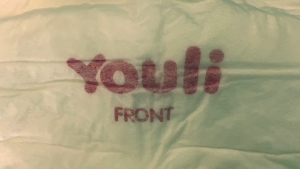 YOULI Breathable Adult Diapers (2000ml x 100 Pcs)  Fast Absorption Leak-Proof  Adult Pull-Up Pants