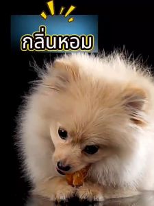 hot ขนมสุนัข ขนมขัดฟันสุนัข กระดูกขัดฟัน กระดูกรสนมสด ไก่พันกระดูก ขนาด100/200กรัม