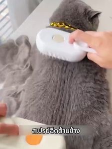 แปรงอบไอน้ำแมว หวีนวดสัตว์เลี้ยง แมว สุนัข กรูมมิ่งหวี สเปรย์ไฟฟ้า สเปรย์น้ำ แมวอาบน้ำแปรง แปรงผม กรูมมิ่งอุปกรณ์ จัดส่งฟรี
