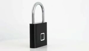 Smart Fingerprint Padlock "0.3 s" fast unlocking Waterproof Zinc Alloy Biometric Padlocks With Buit-in Rechargeable Battery
