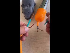 (T1) ปลอกหุ้มสายไฟ [1ชุด 164 ชิ้น] ท่อหดสายไฟ ป้องกันสายชาร์จหัก ปลอกต่อสายไฟกันน้ำ หดได้1เท่า /2066