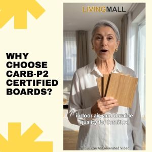 Living Mall Poyee Series CARB-P2 Certified Board 1-Door 2-Door Utility Cabinet Equipment Storage